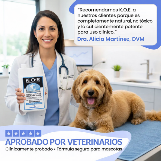 Eliminador de olores y manchas de mascotas